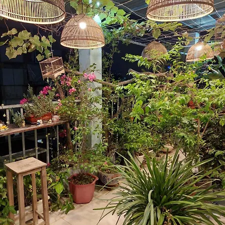 Alley Homestay